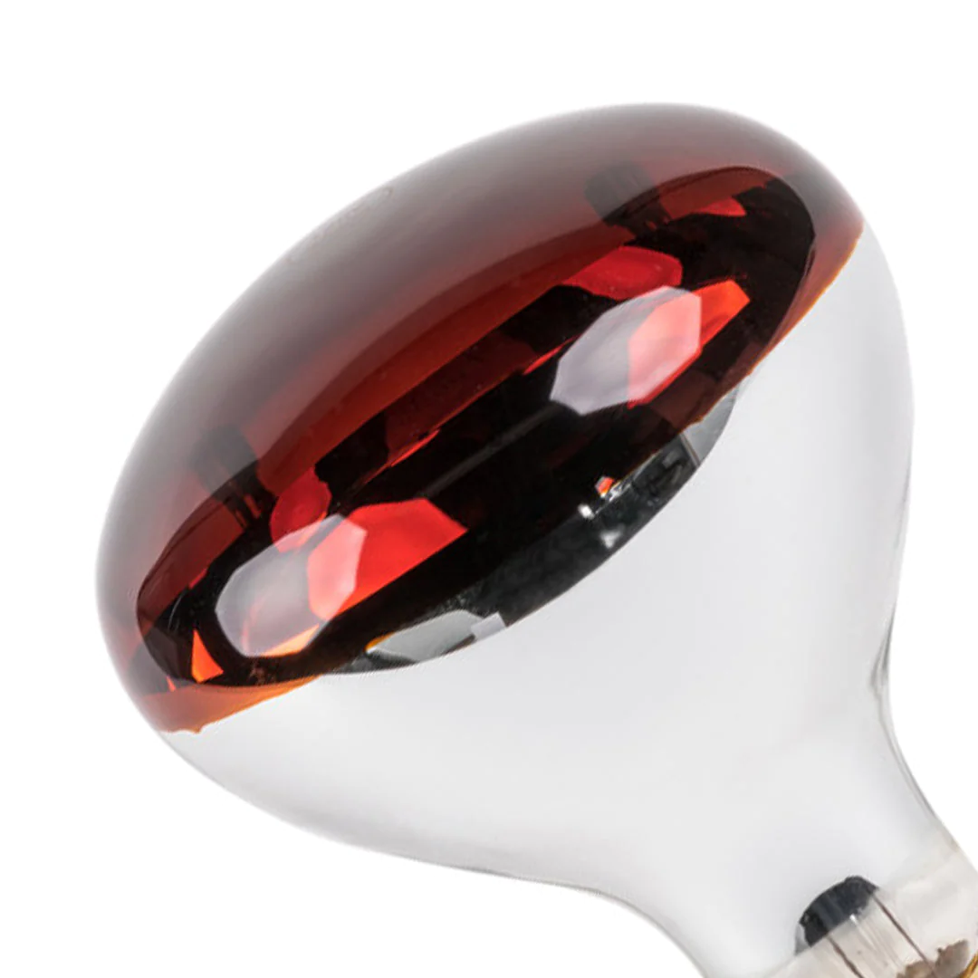 Infrared Bulb E27 250 Watts 2