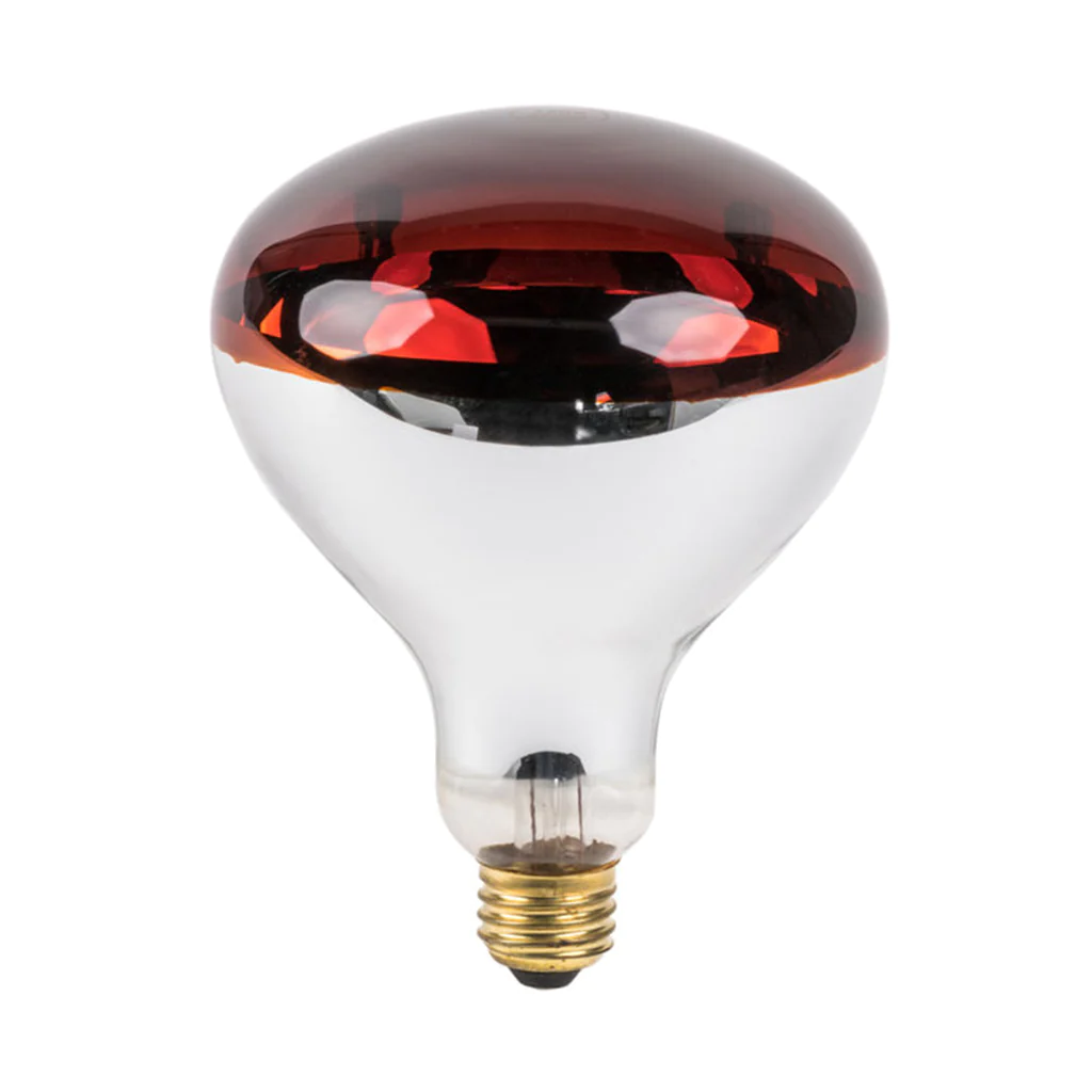 Infrared Bulb E27 250 Watts